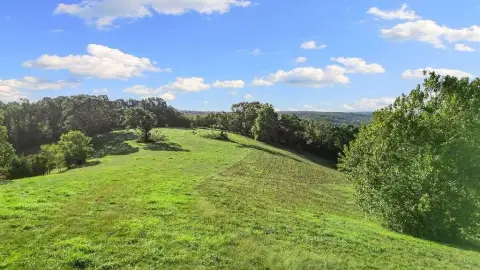 Versatile Land with Pasture & Timber