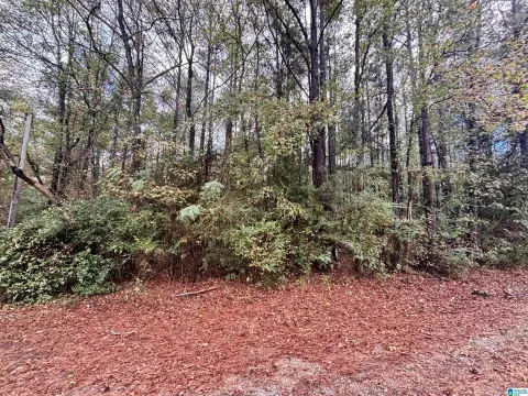 Columbiana Acreage For Sale