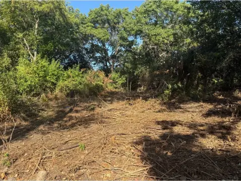 Land Near Wonder Lake