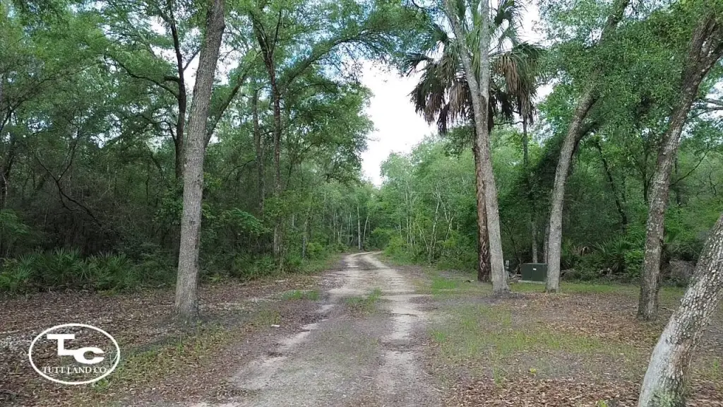 Picture 23