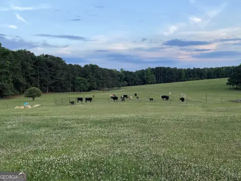 Hogansville Land with Sunset Views