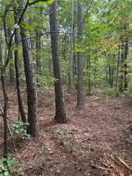 Residential Land in Waleska, GA