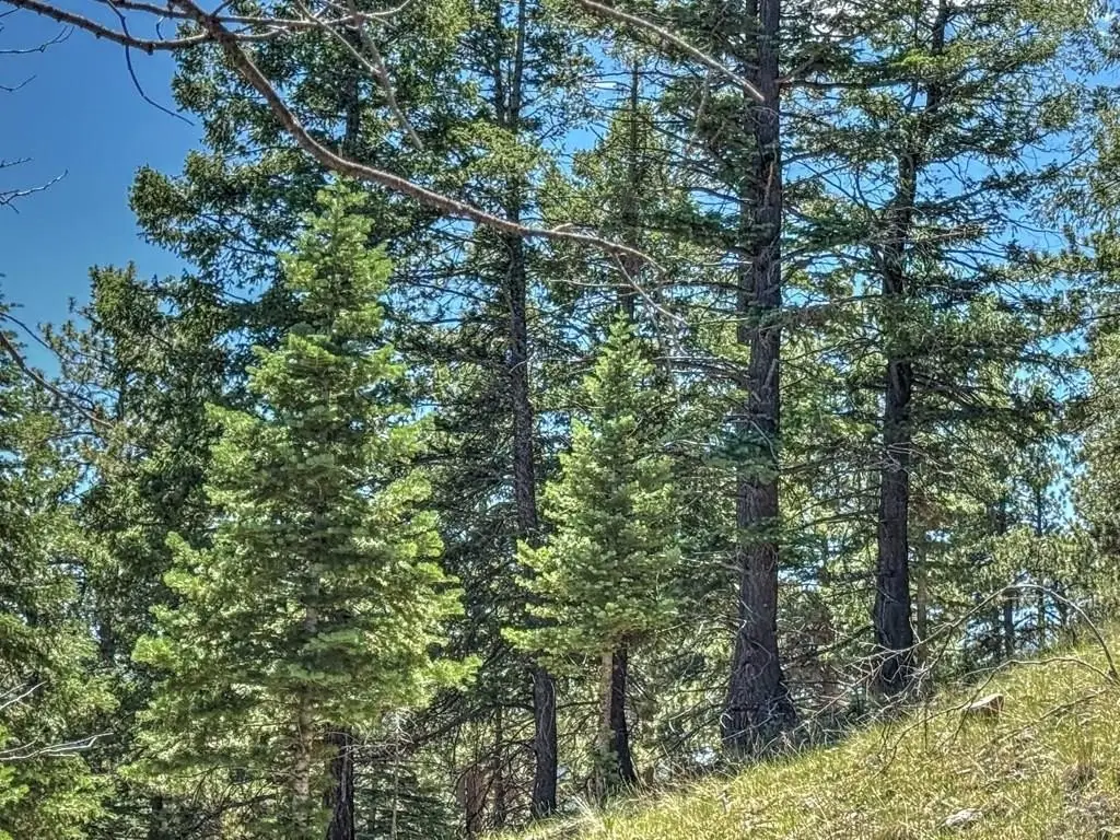 Picture 13