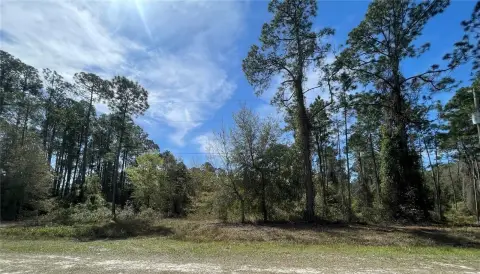 Residential Land in Georgetown, Florida
