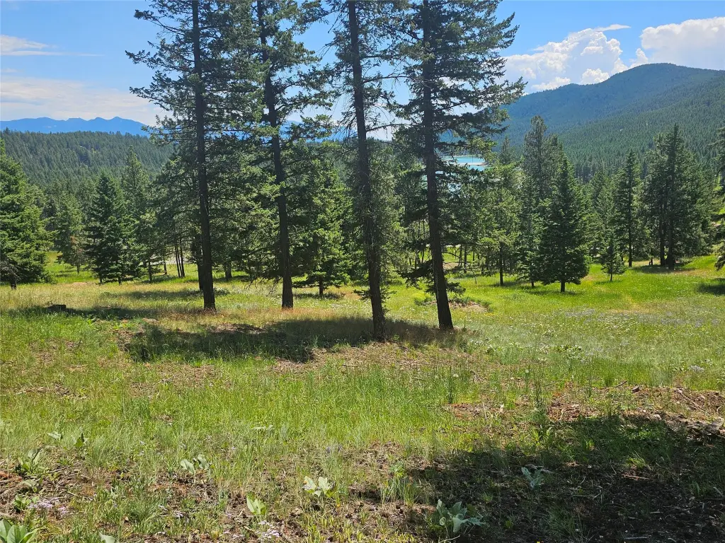 Picture 39