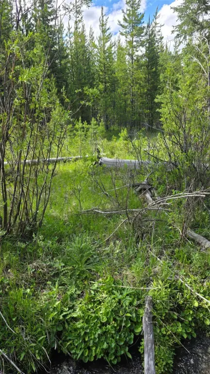 Picture 4