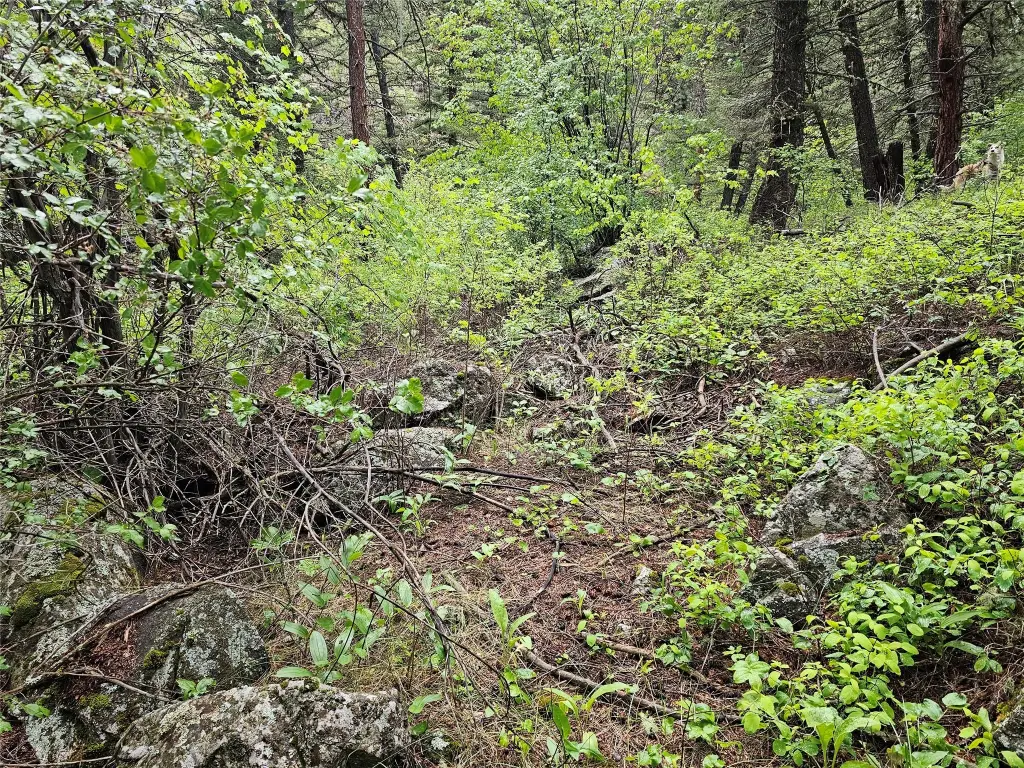 Picture 5