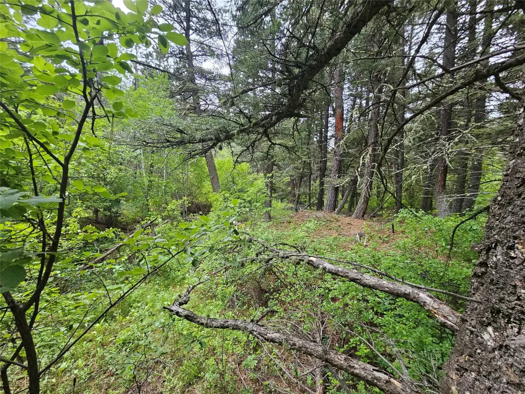 Picture 28