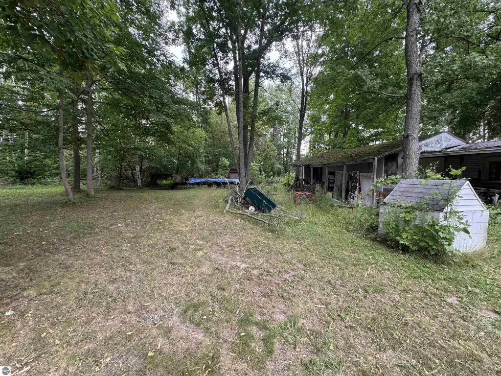 Picture 4