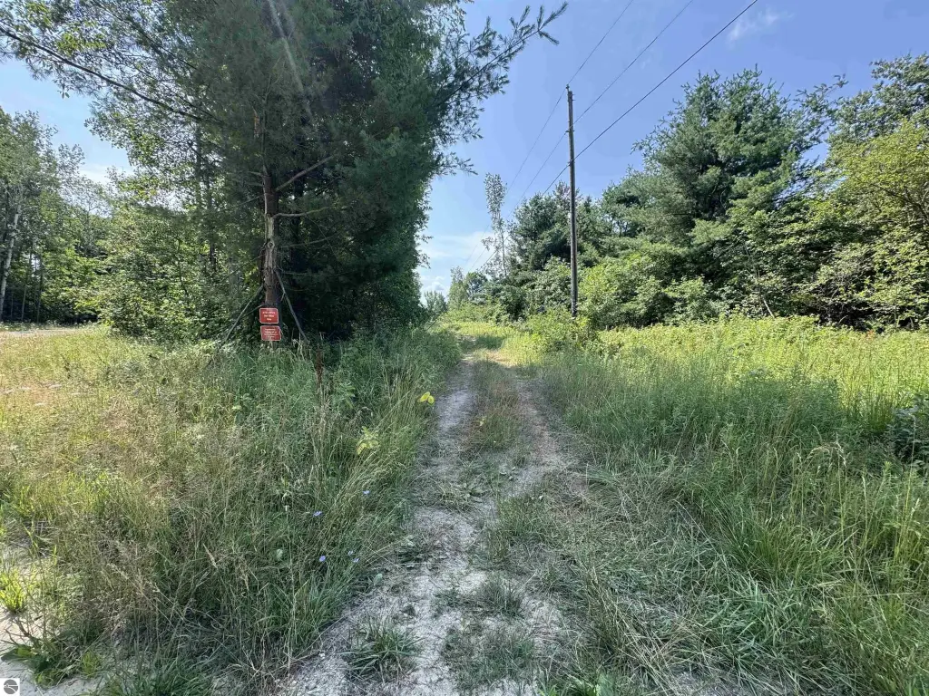 Picture 20