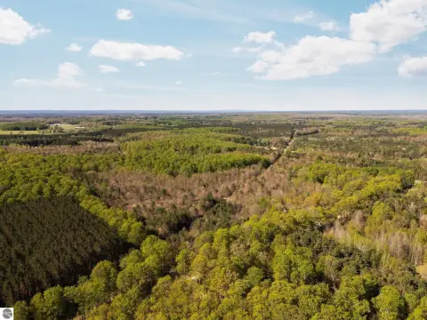 Wooded Land with Road Frontage