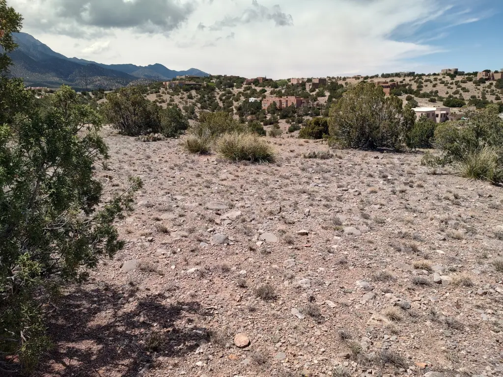 Picture 22