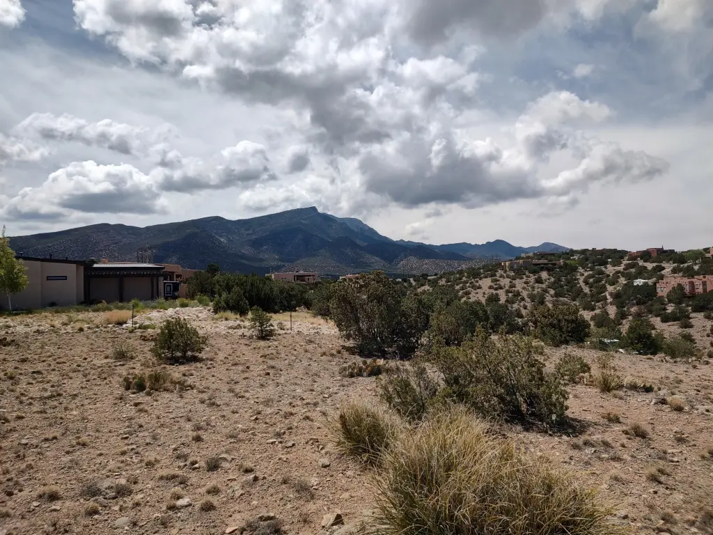 Picture 12