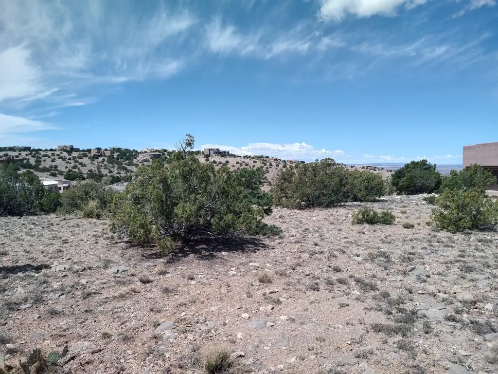 Picture 21