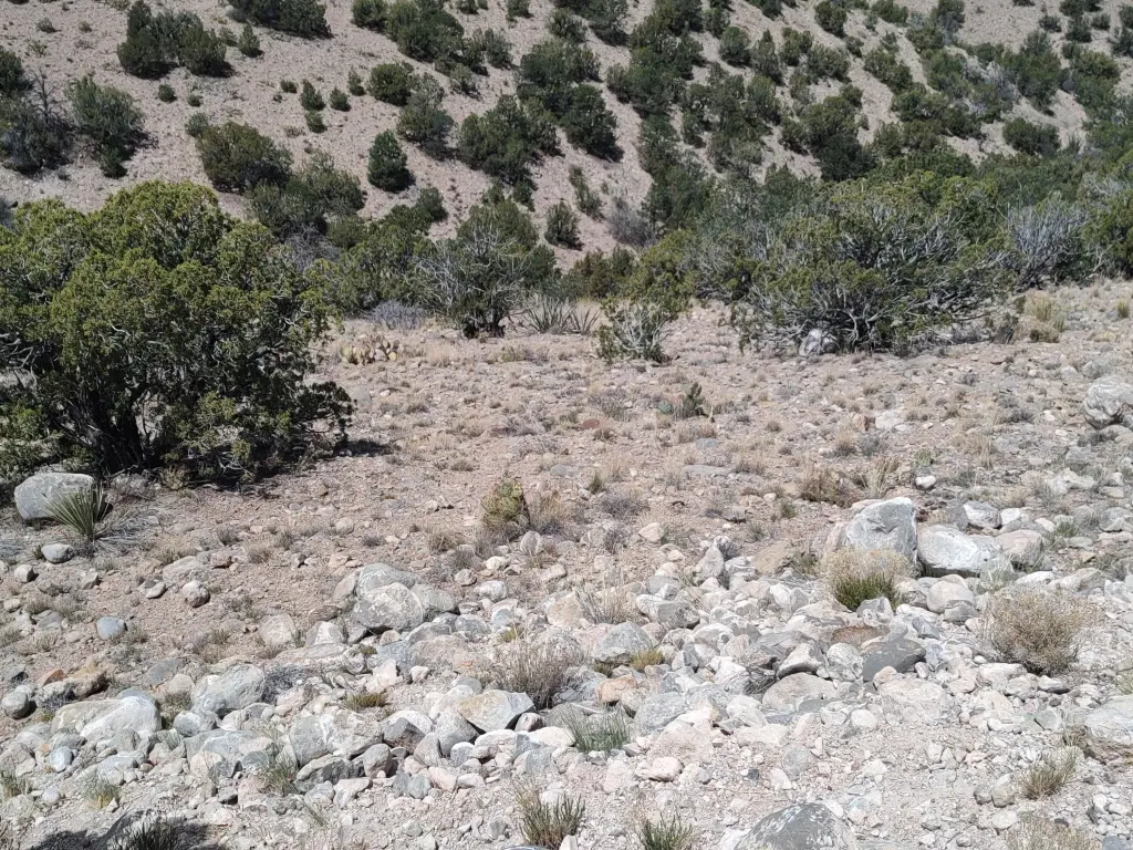 Picture 38
