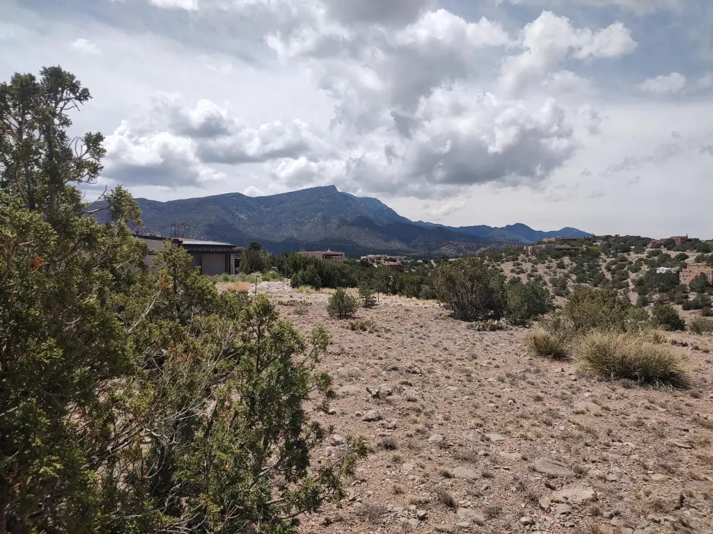 Picture 25