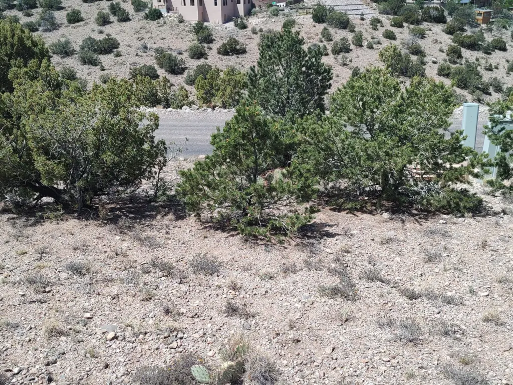 Picture 31