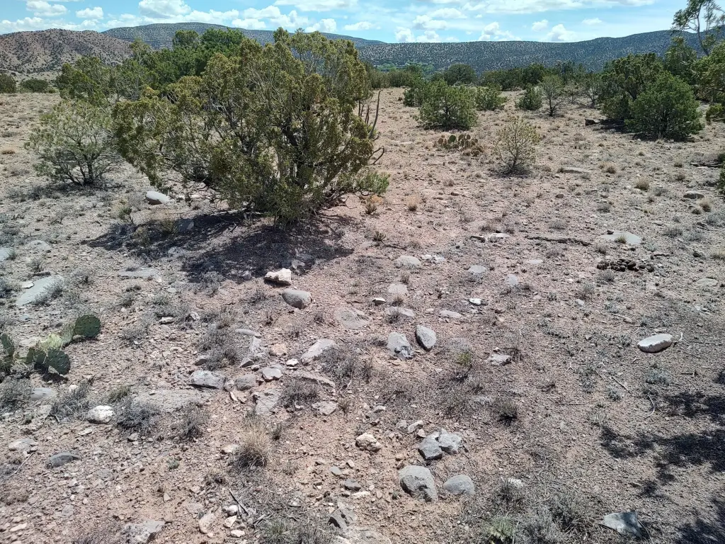 Picture 24