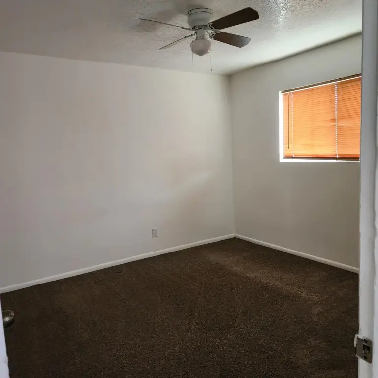 Picture 14