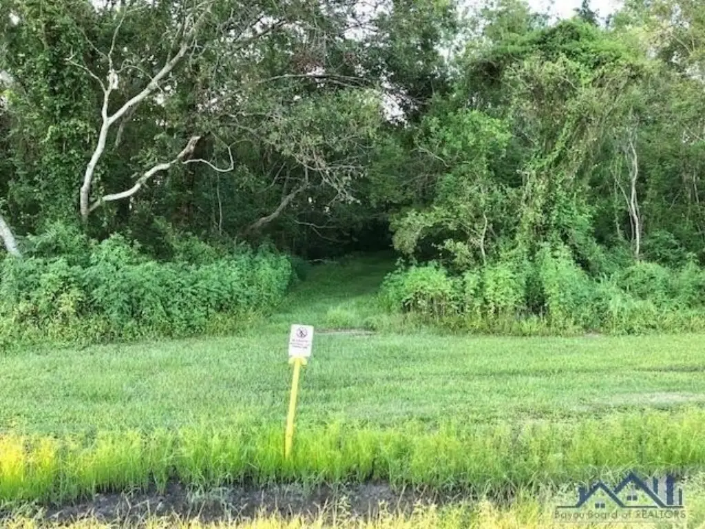 Picture 3