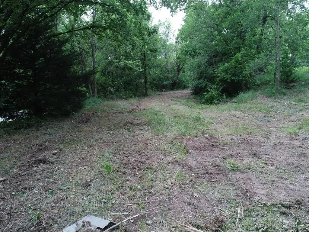 Picture 17