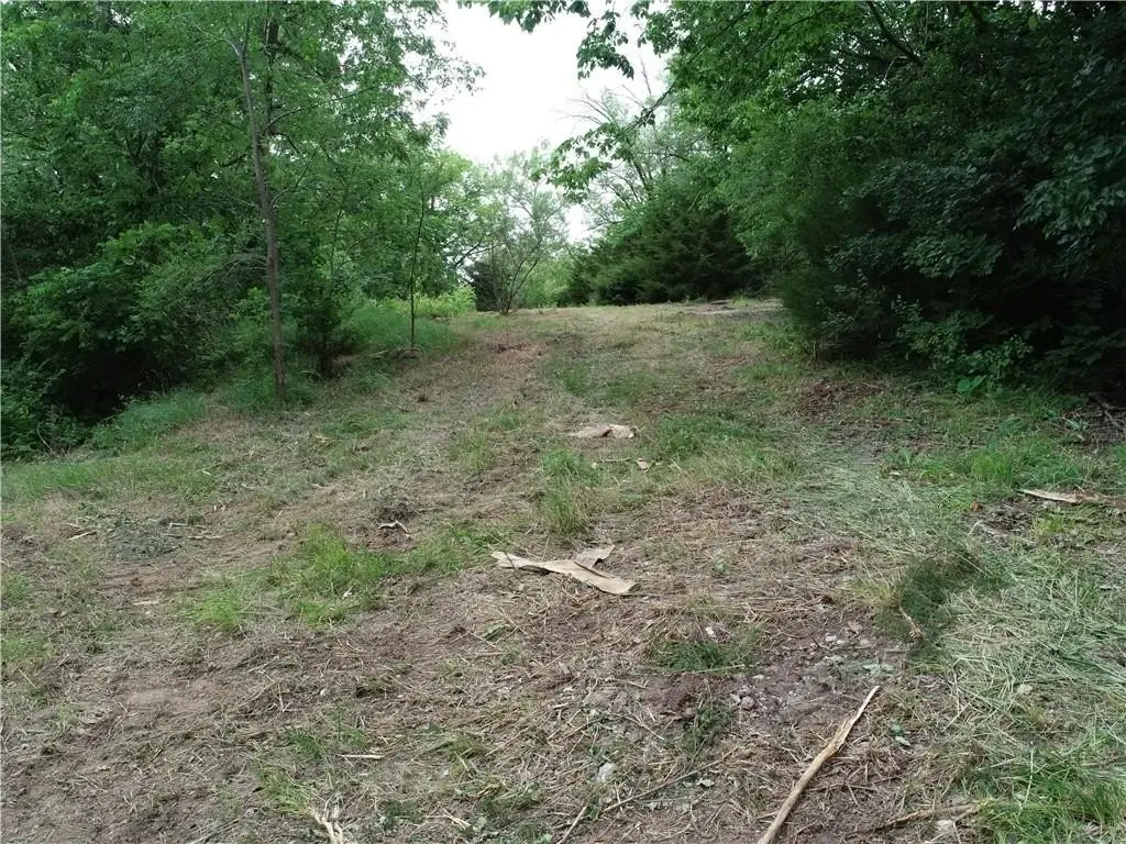 Picture 18