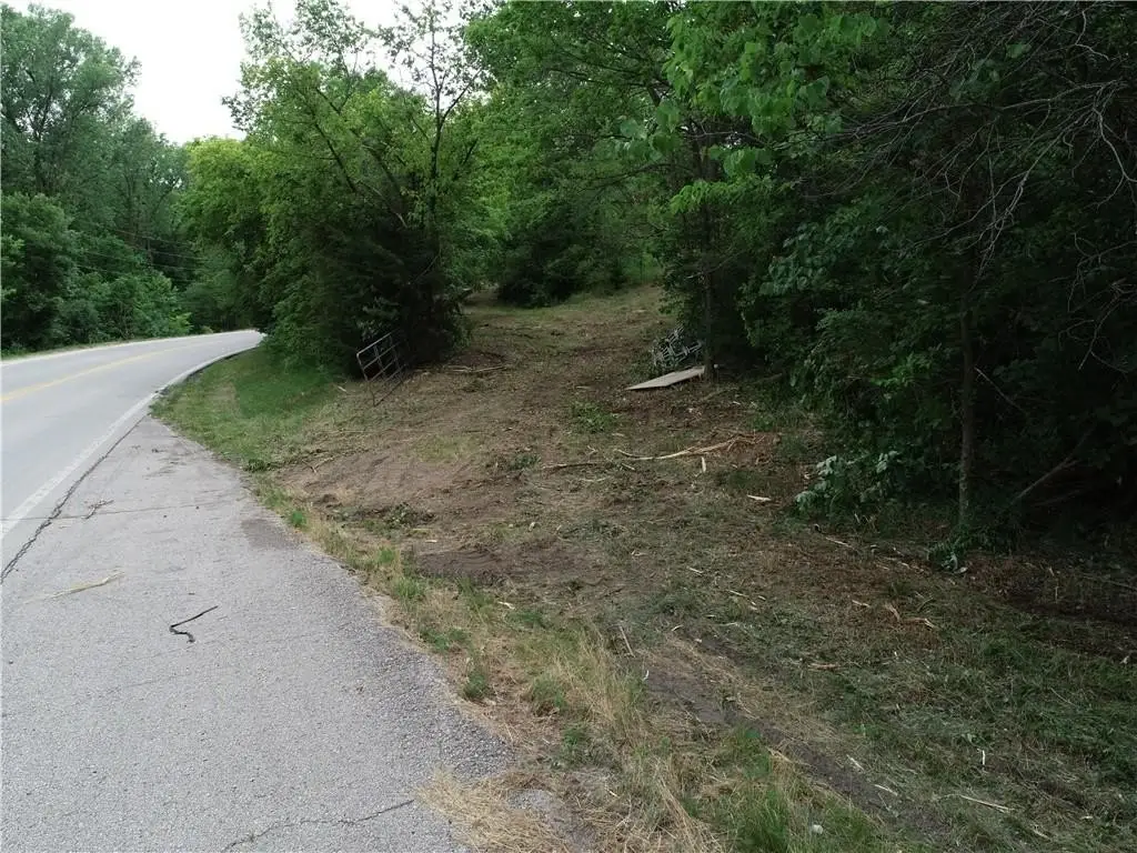 Picture 15