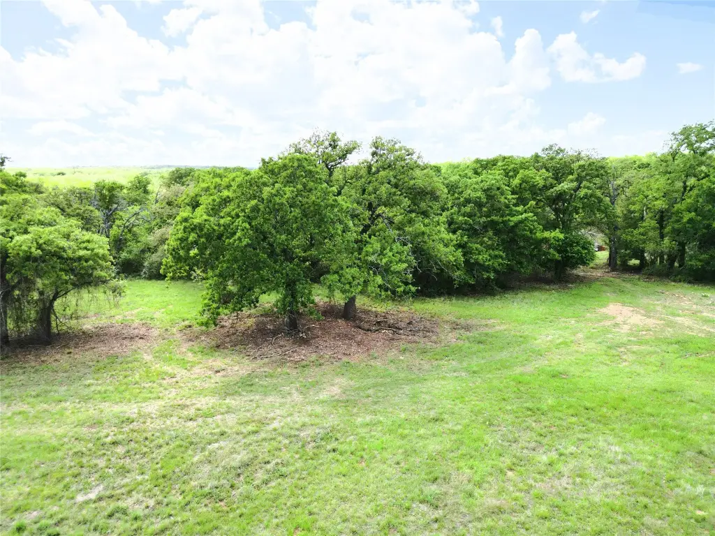 Picture 8