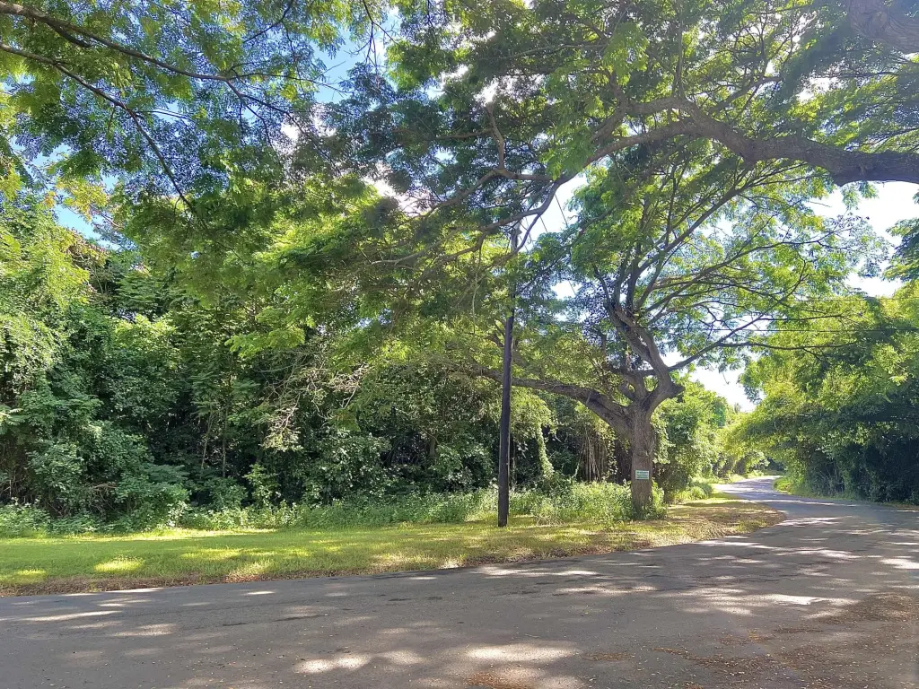 Picture 16