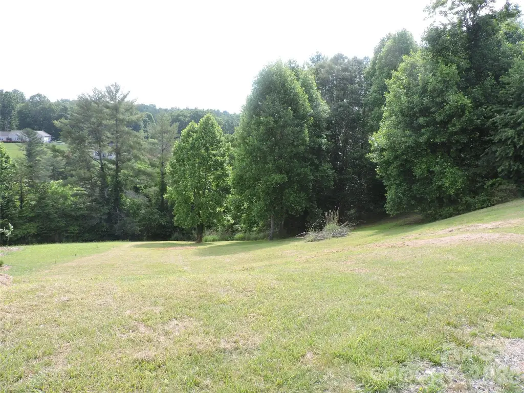 Picture 8