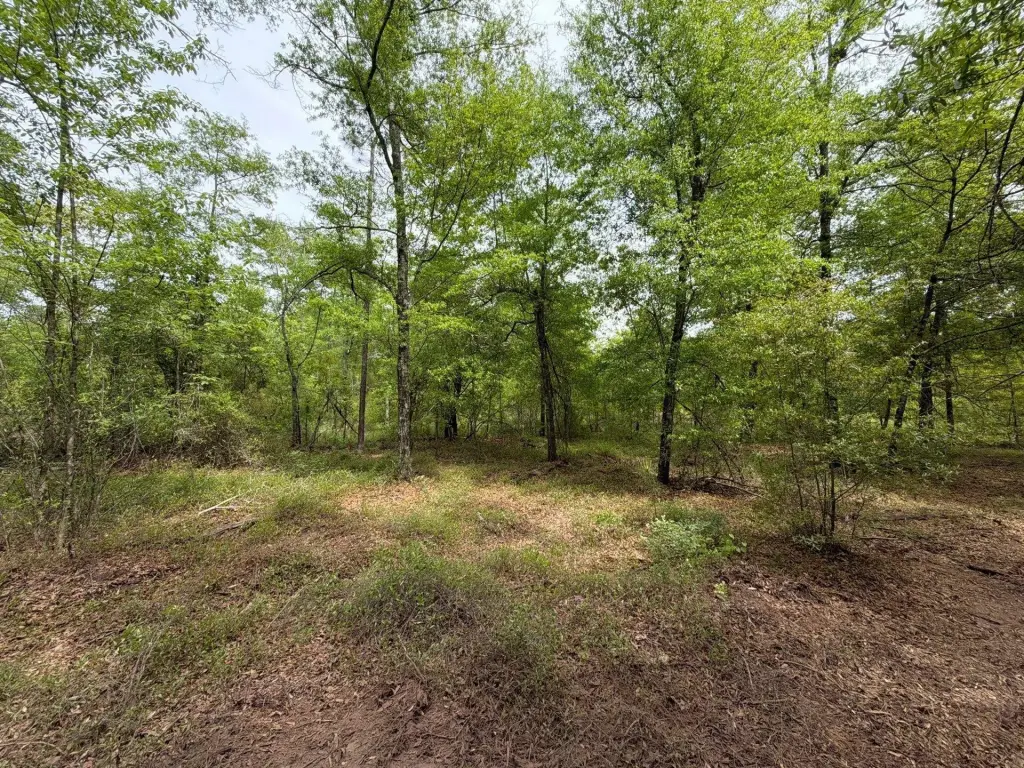 Picture 20