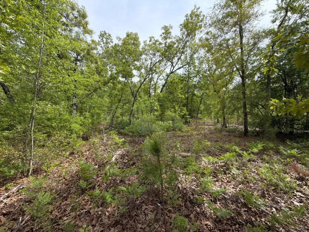 Picture 33