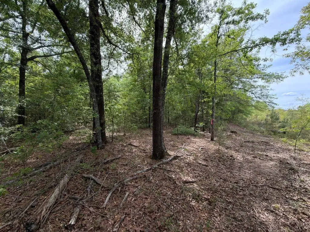 Picture 38