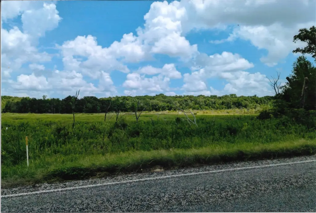 Picture 28