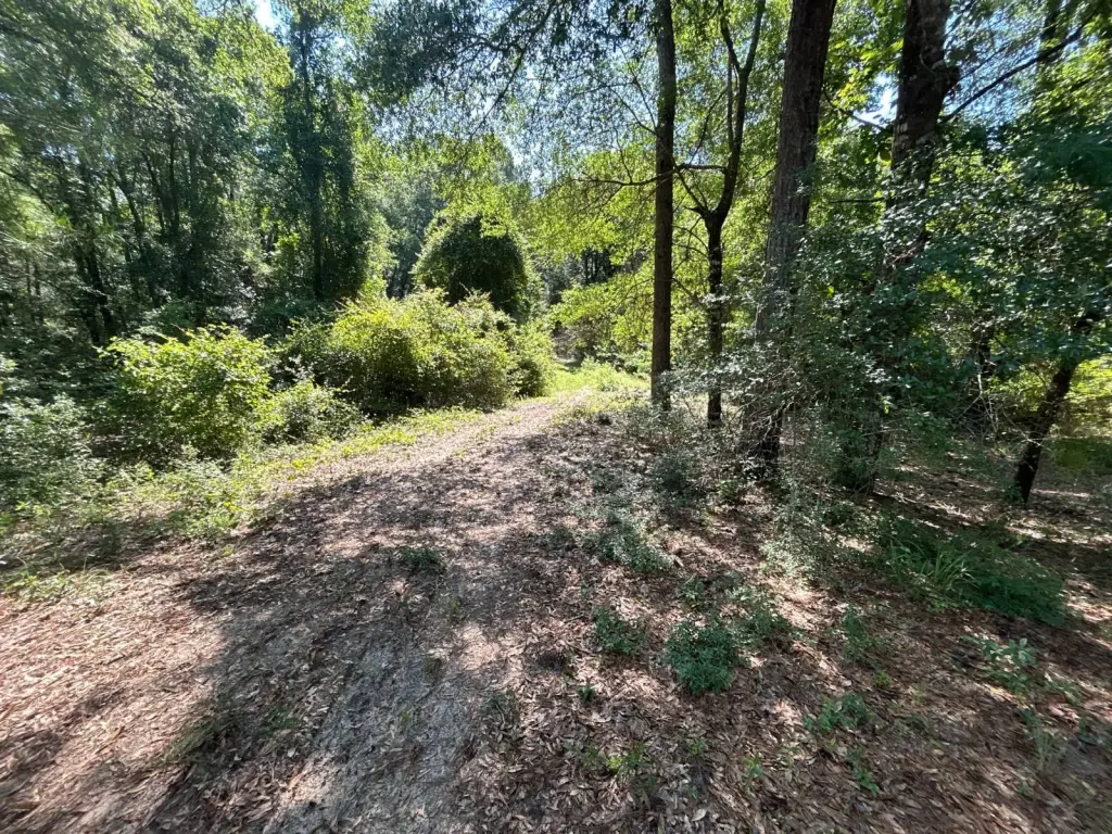 Picture 15