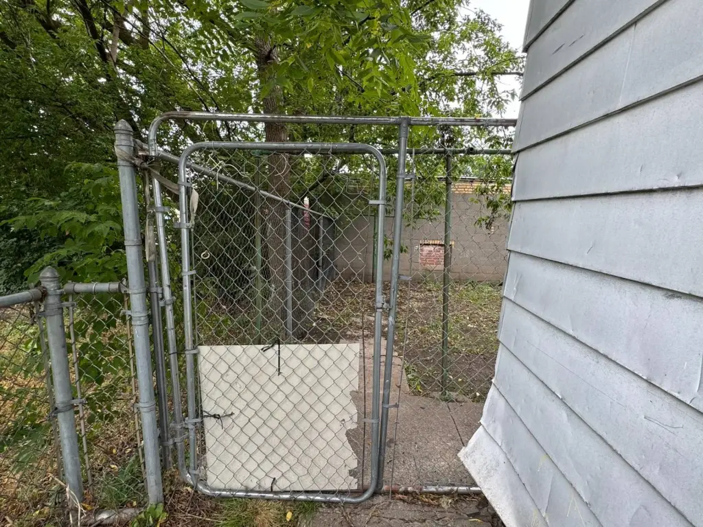 Picture 5