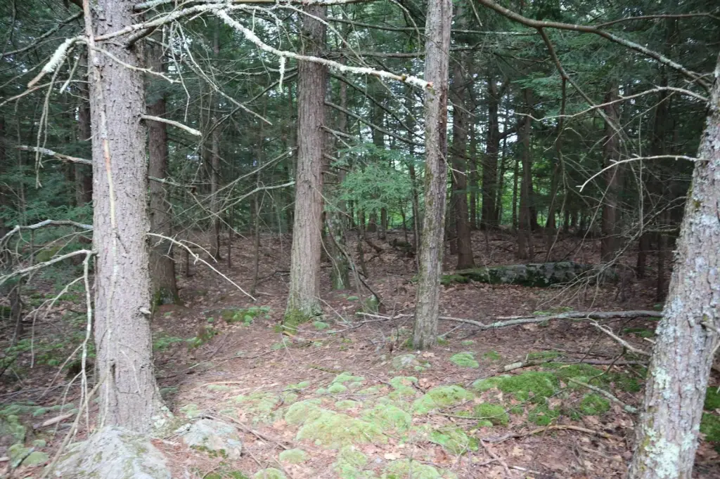 Picture 18