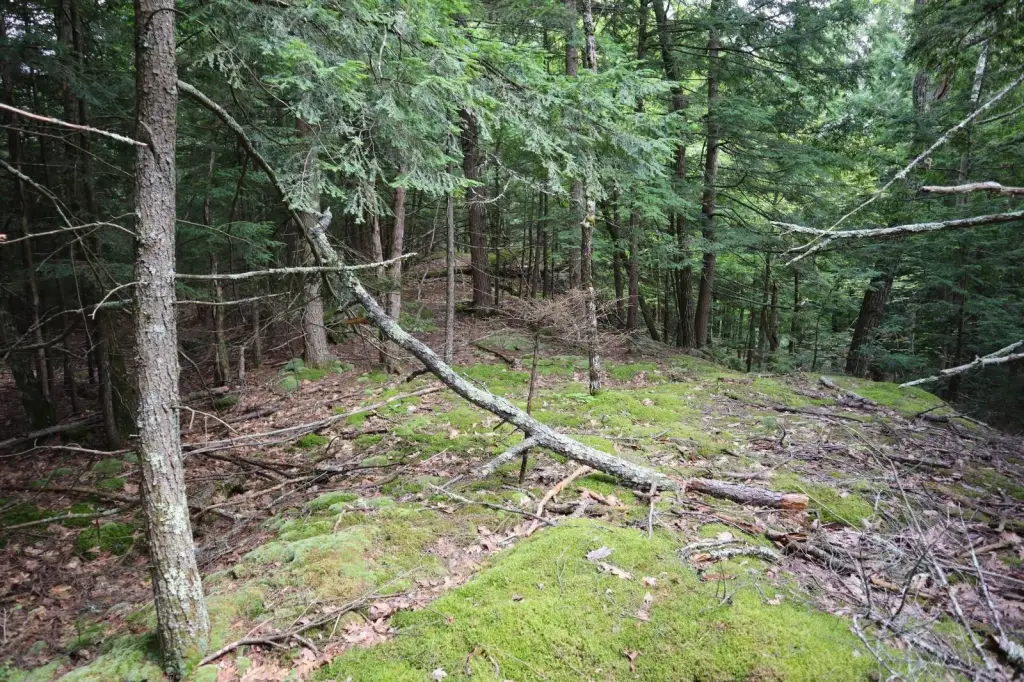 Picture 17