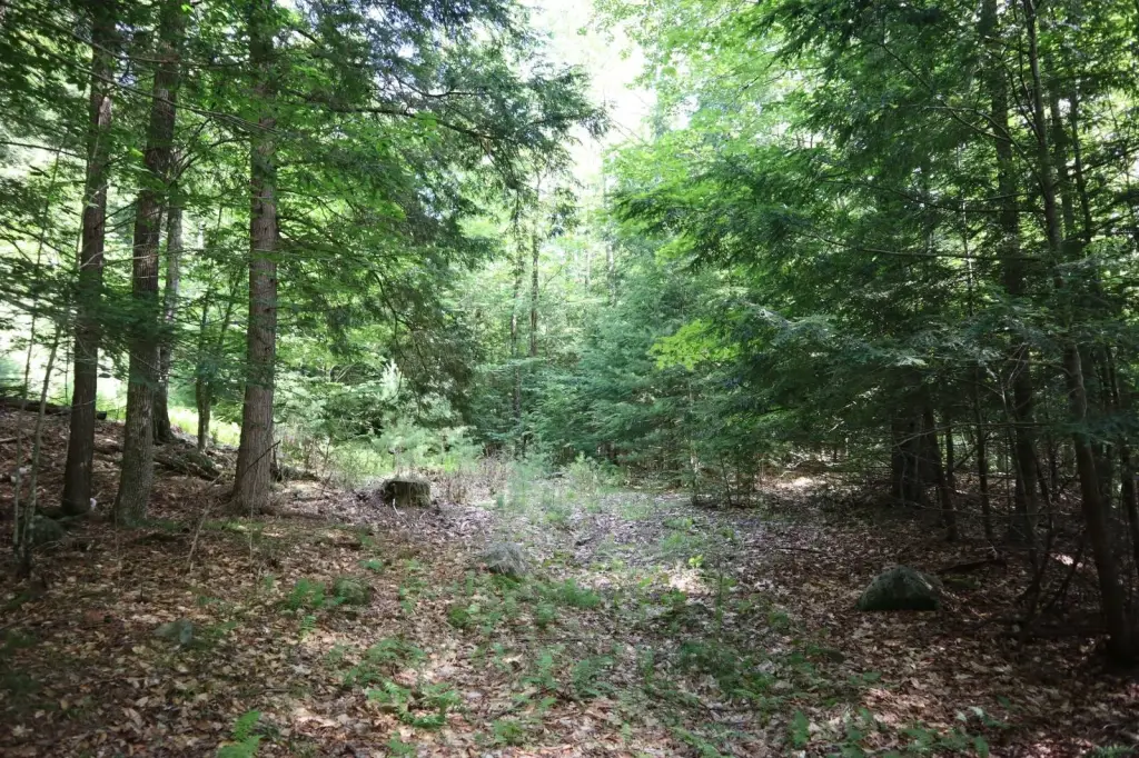 Picture 42