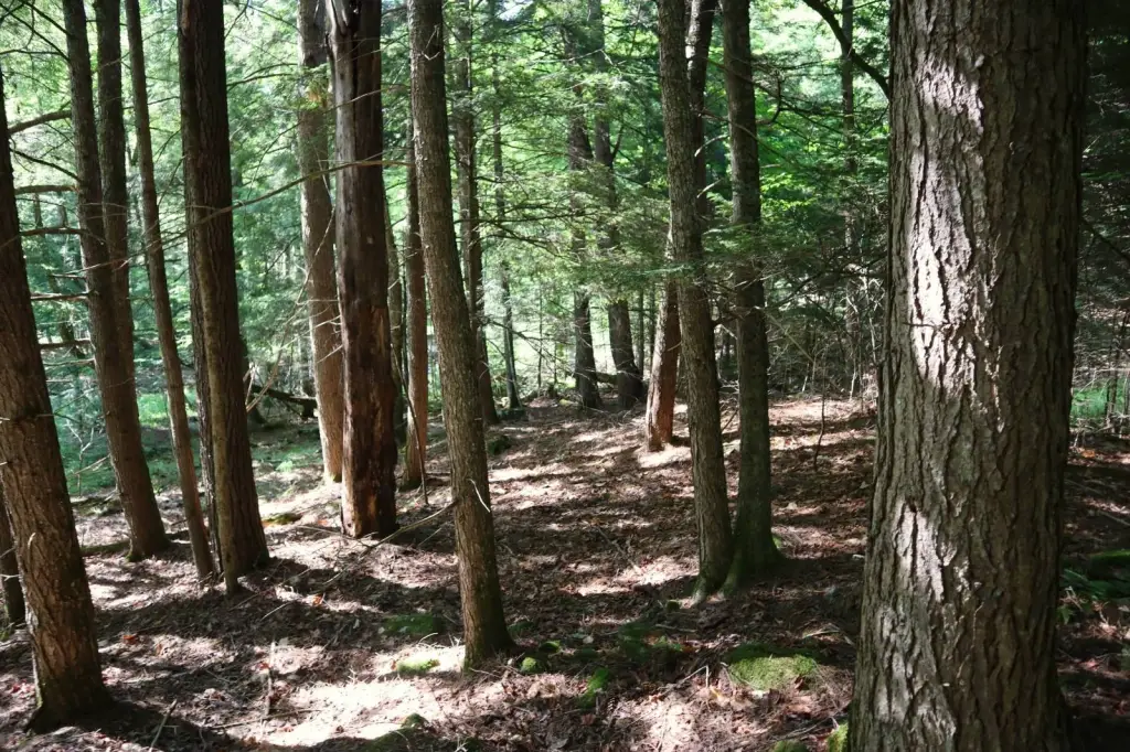 Picture 6