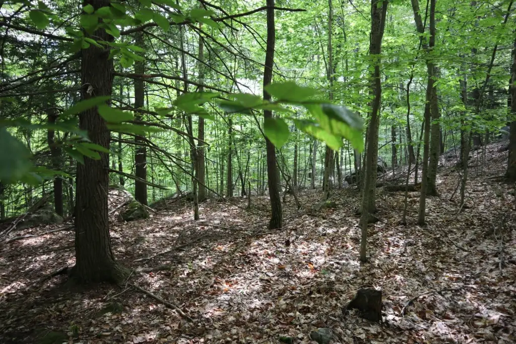 Picture 13