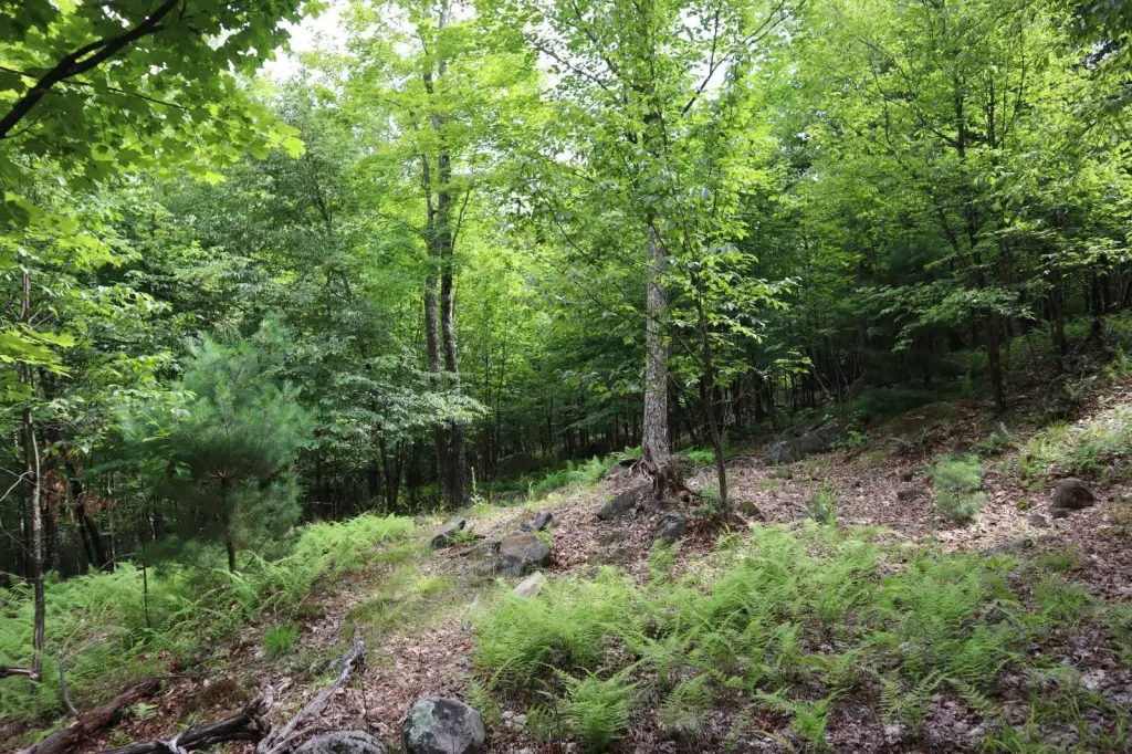Picture 25