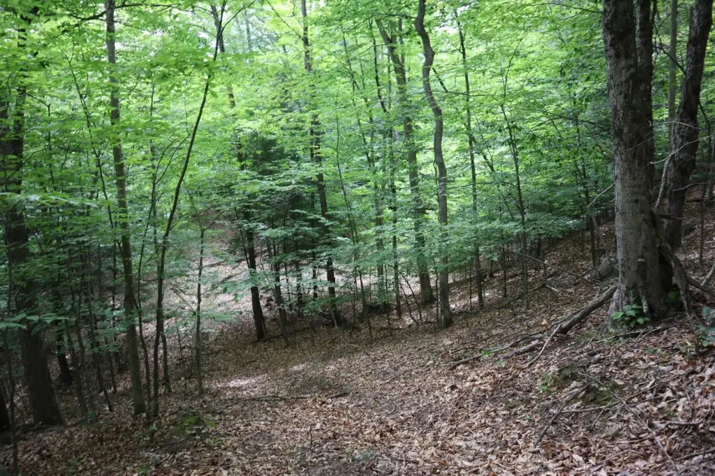 Picture 30
