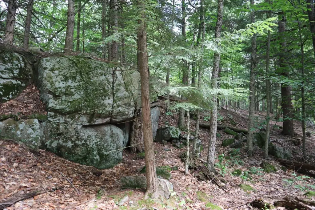 Picture 14