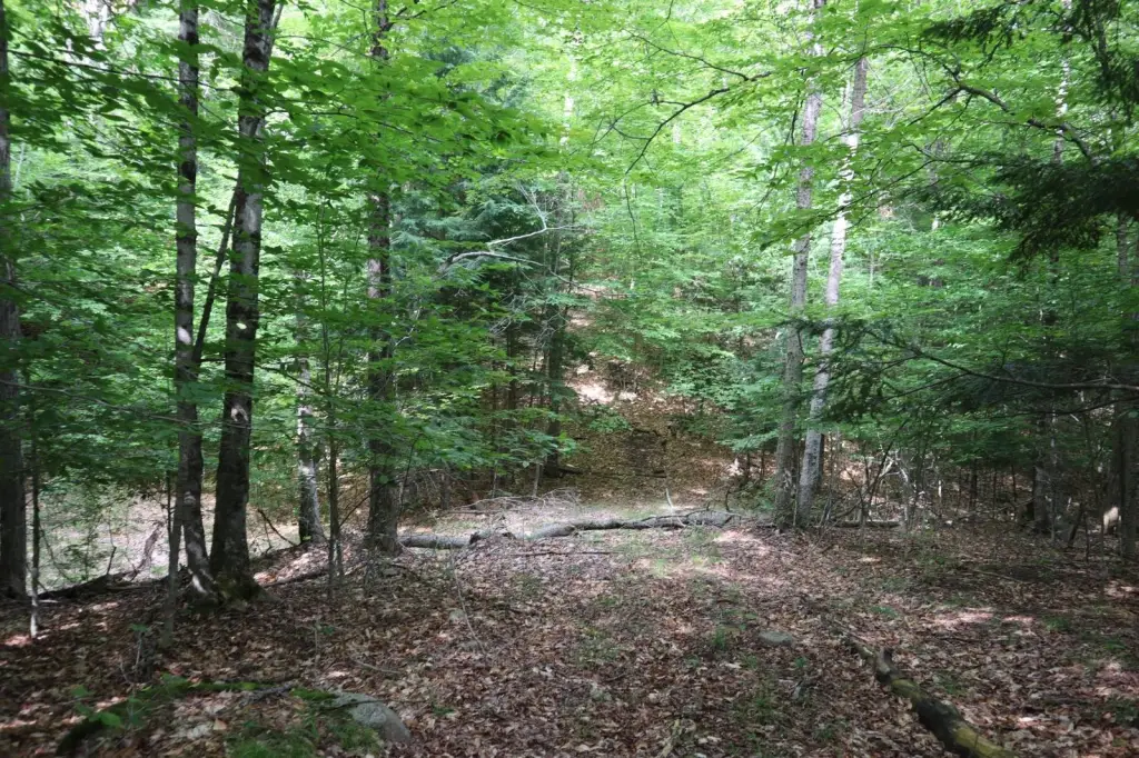 Picture 31