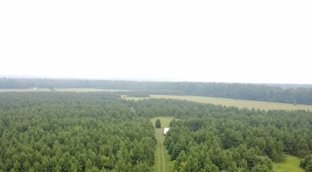 Picture 8