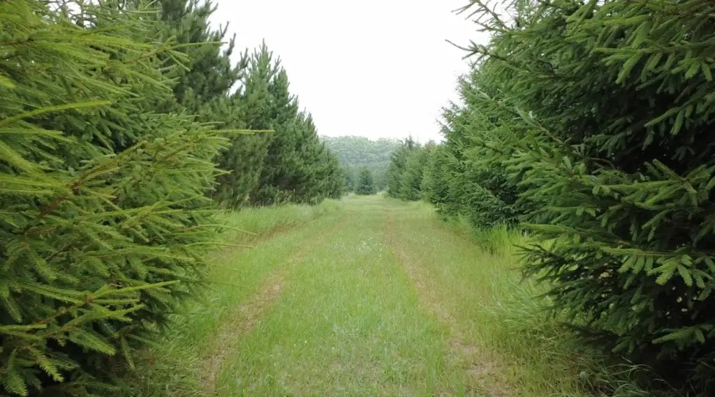 Picture 10