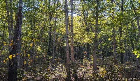 Hunting Land with Pond