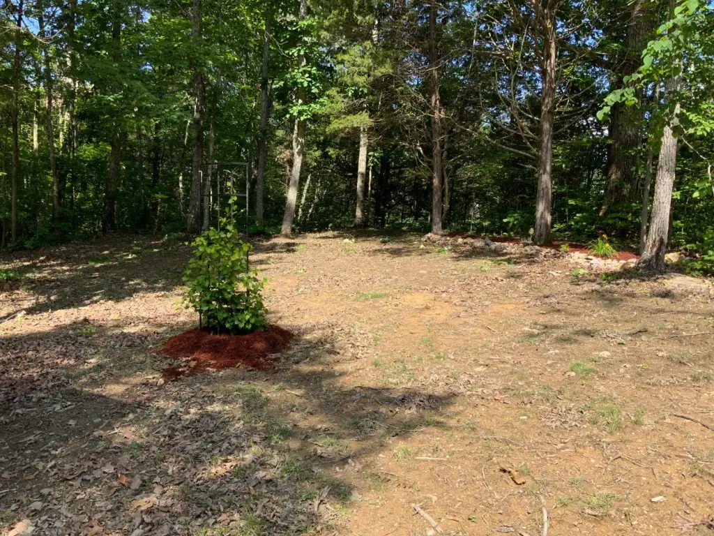 Picture 16