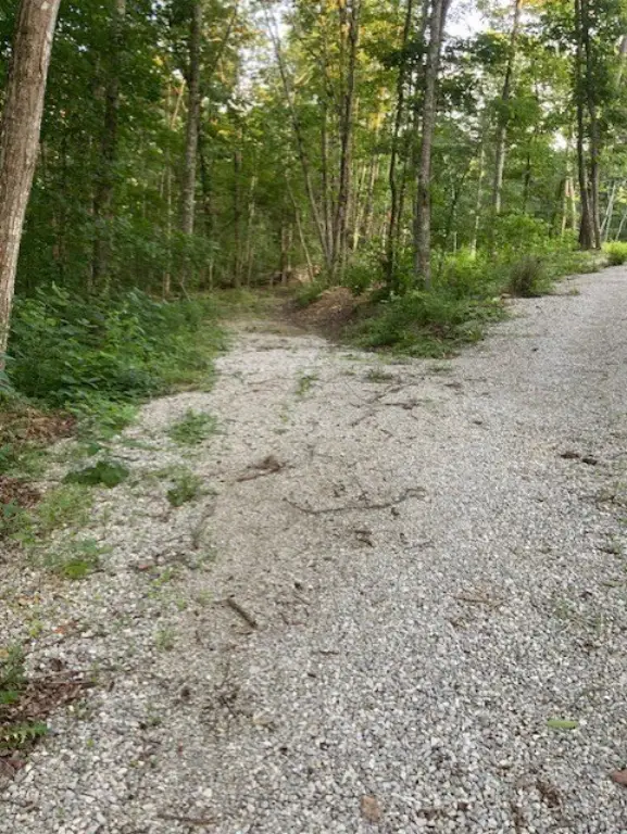 Picture 13